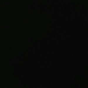 Meet your Posher, Jerry